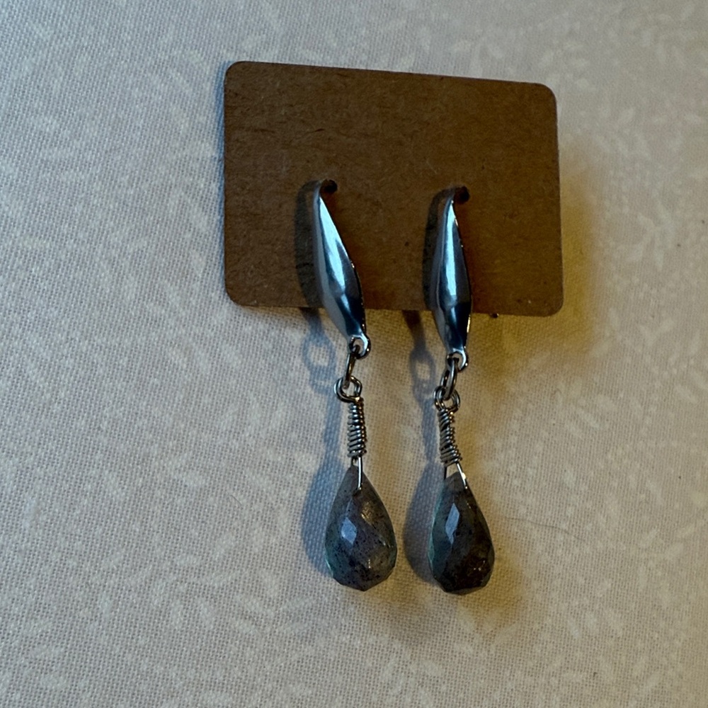 Stainless steel and Labradorite Drop Earrings